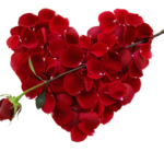 14 Hadiah Hari Valentine Untuk Pasangan Kalian