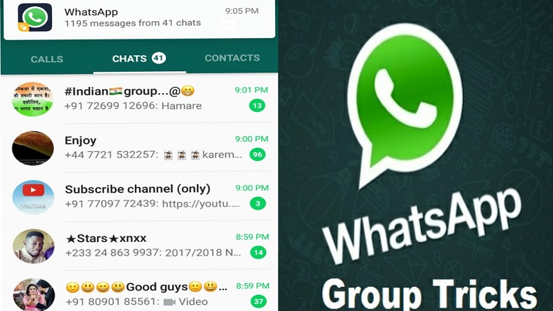 Batas grup member di aplikasi WhatsApp